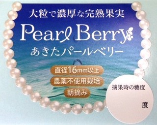 MS_PEARL.JPG