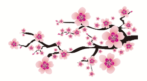 sakura.png